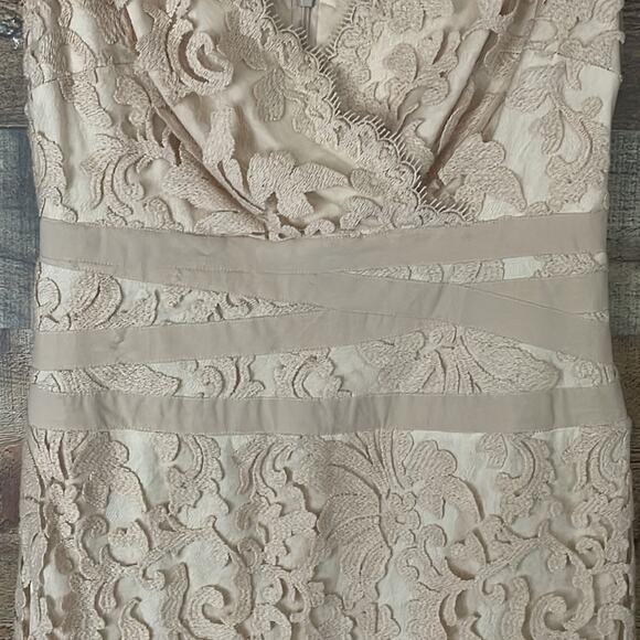 Tadashi Shoji Primrose Embroidered Lace Sheath Cocktail Dress Ivory Nude Size 6 - Picture 3 of 15